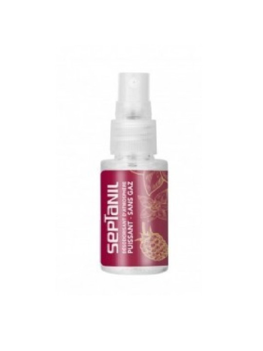 SEPTANIL desodorisant de poche fruit jaune 30 ml