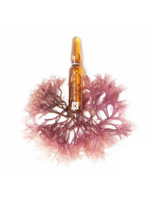 KUORA  amp flash eclat eff lifting 4*2 amp