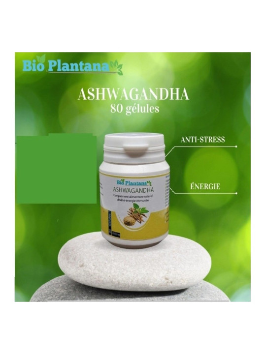 Bio Plantana Ashwagandha 80 Gélules