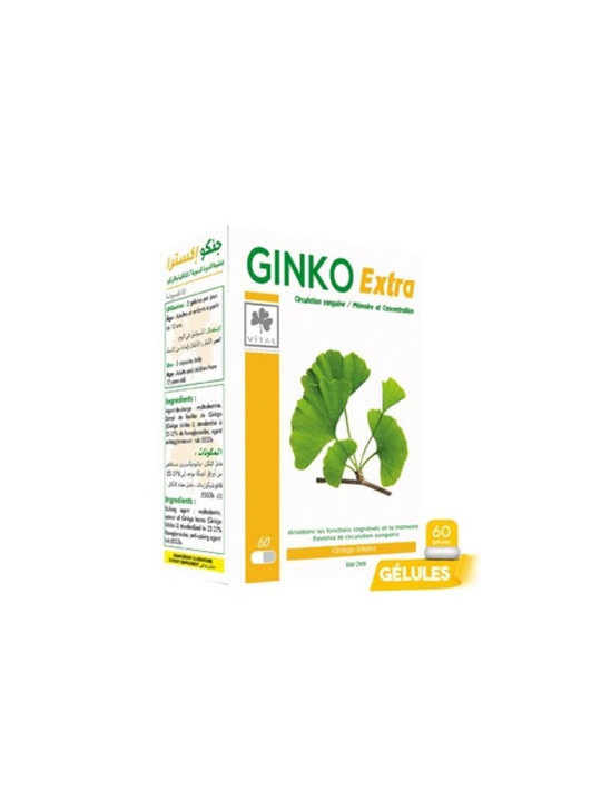 GINKO EXTRA BT/60 VITAL